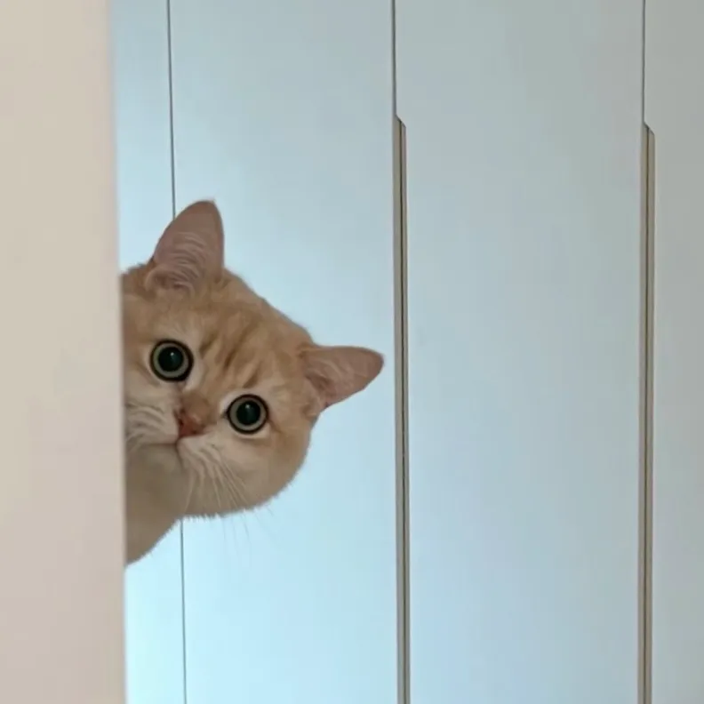 nina